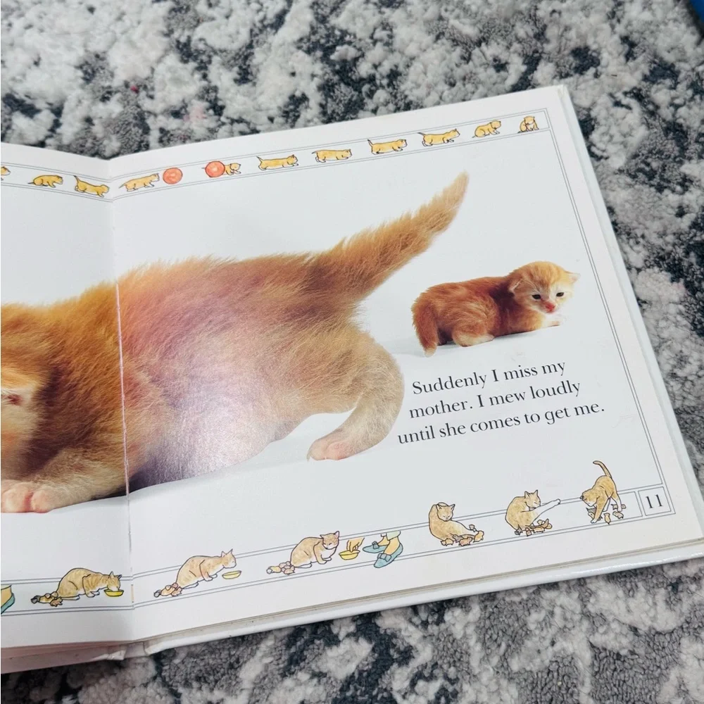 KITTEN - From the SEE HOW THEY GROW Picture Book Series